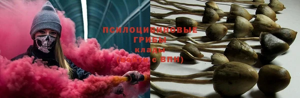 дмт Новодвинск