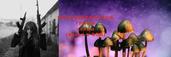 дмт Новодвинск
