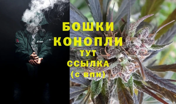 дмт Новодвинск
