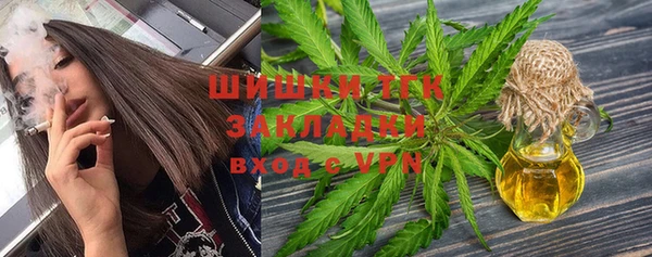 mdpv Новозыбков