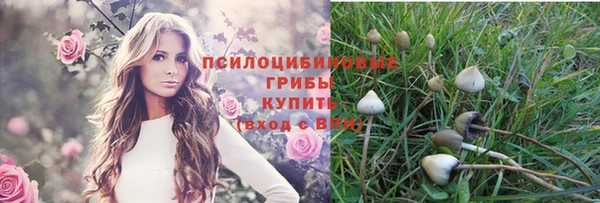 дмт Новодвинск