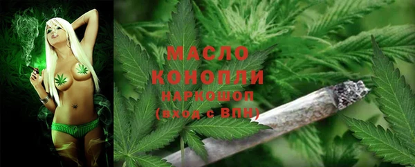 дмт Новодвинск