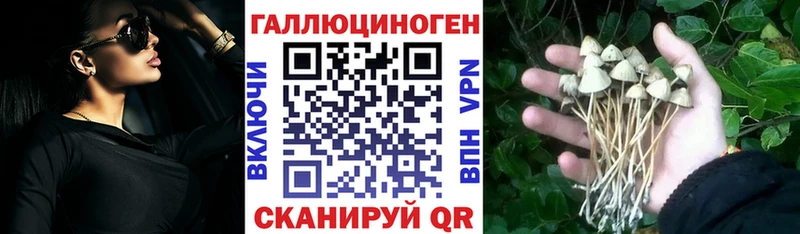 Псилоцибиновые грибы MAGIC MUSHROOMS  Новосокольники 